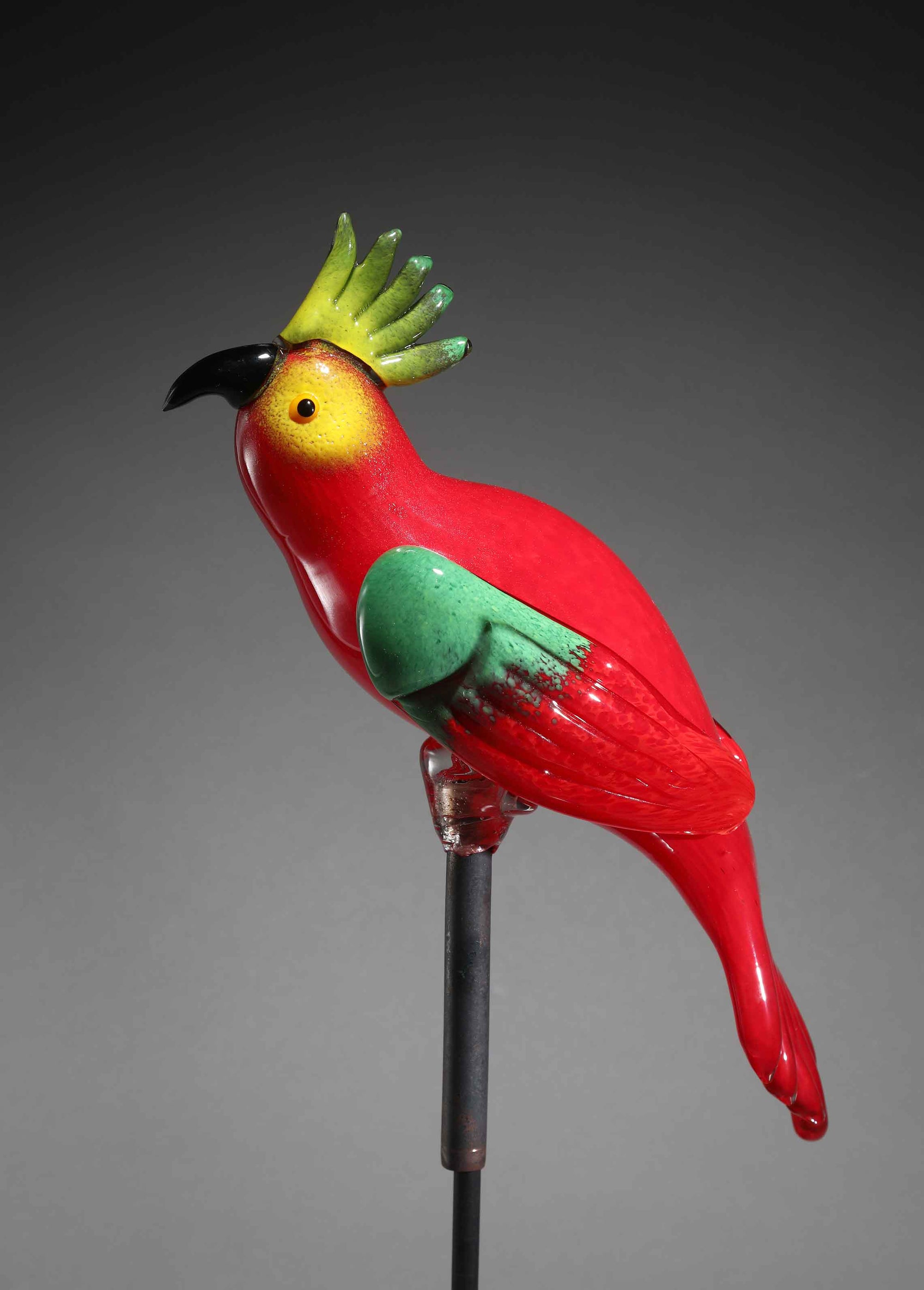 Bird Cockatoo Red Green