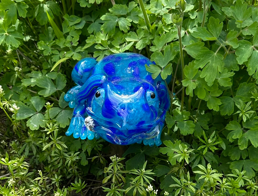 Creature Frog Blue