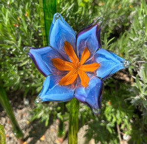 Flower Tulip Purple Blue