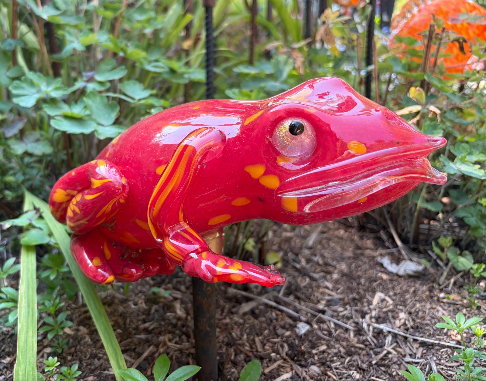 Creature Frog Red