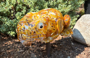 Creature Frog Amber