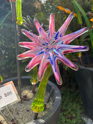 Flower Sunburst Pink Rainbow