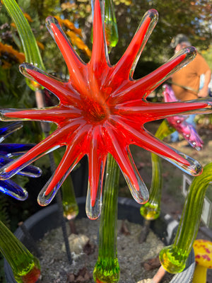 Flower Sunburst Red