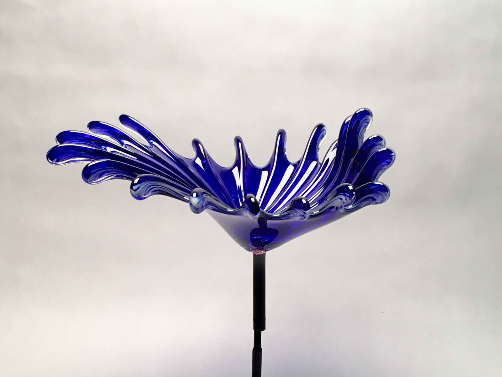 Birdbath Splash Cobalt Blue White