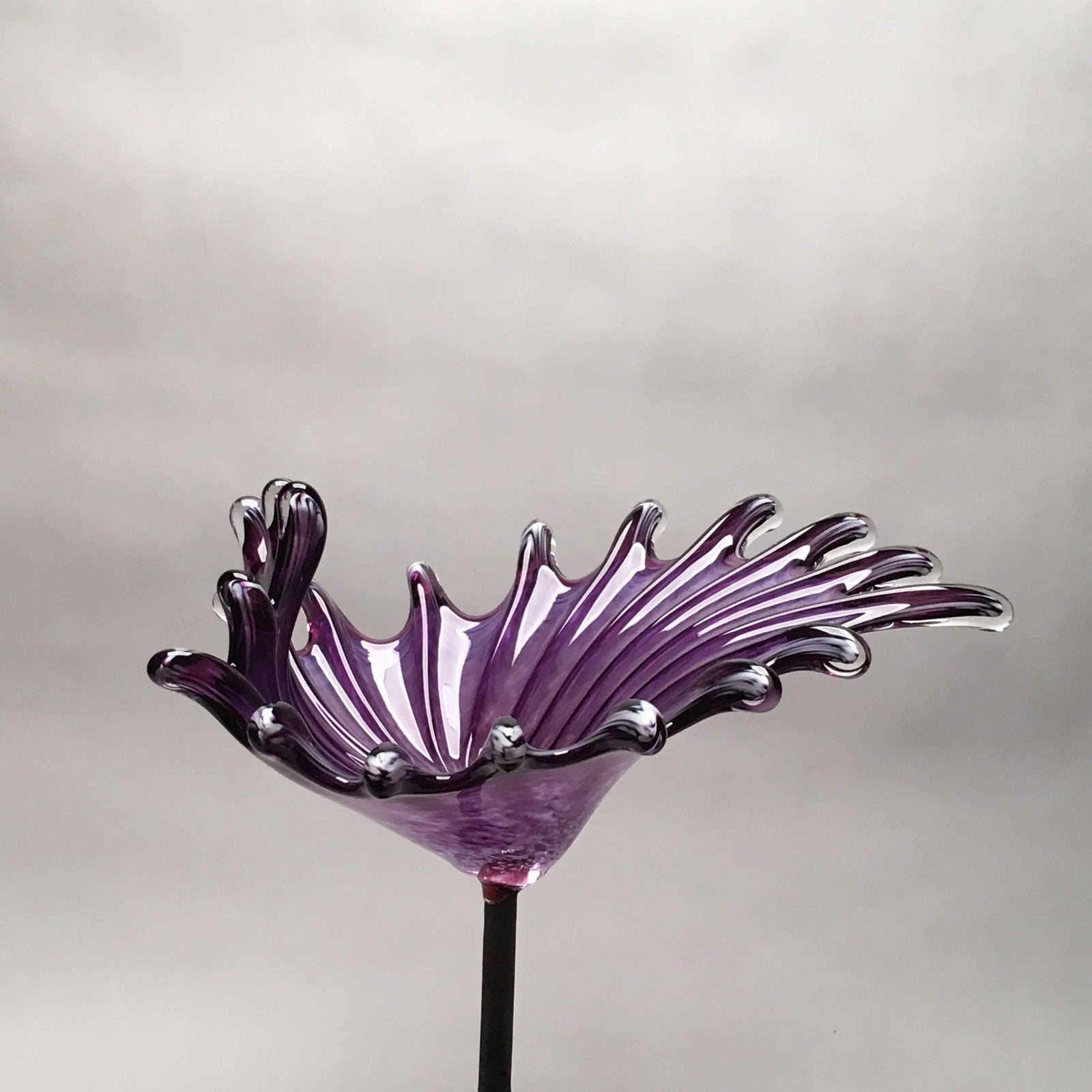 Birdbath Splash Amethyst Purple