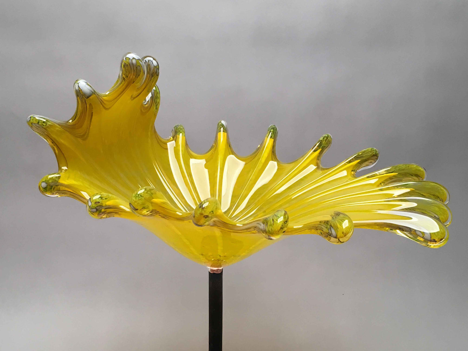 Birdbath Splash Yellow White