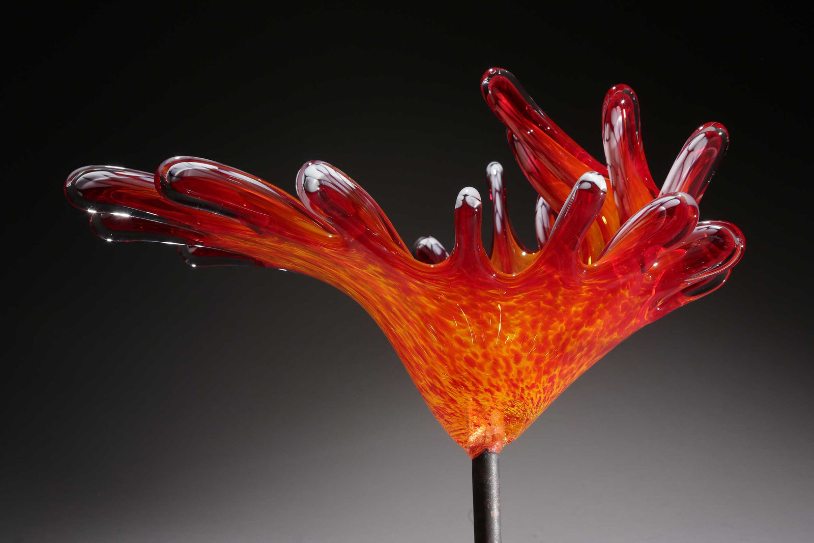 Birdbath Splash Orange Yellow White