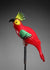 Bird Cockatoo Red Green