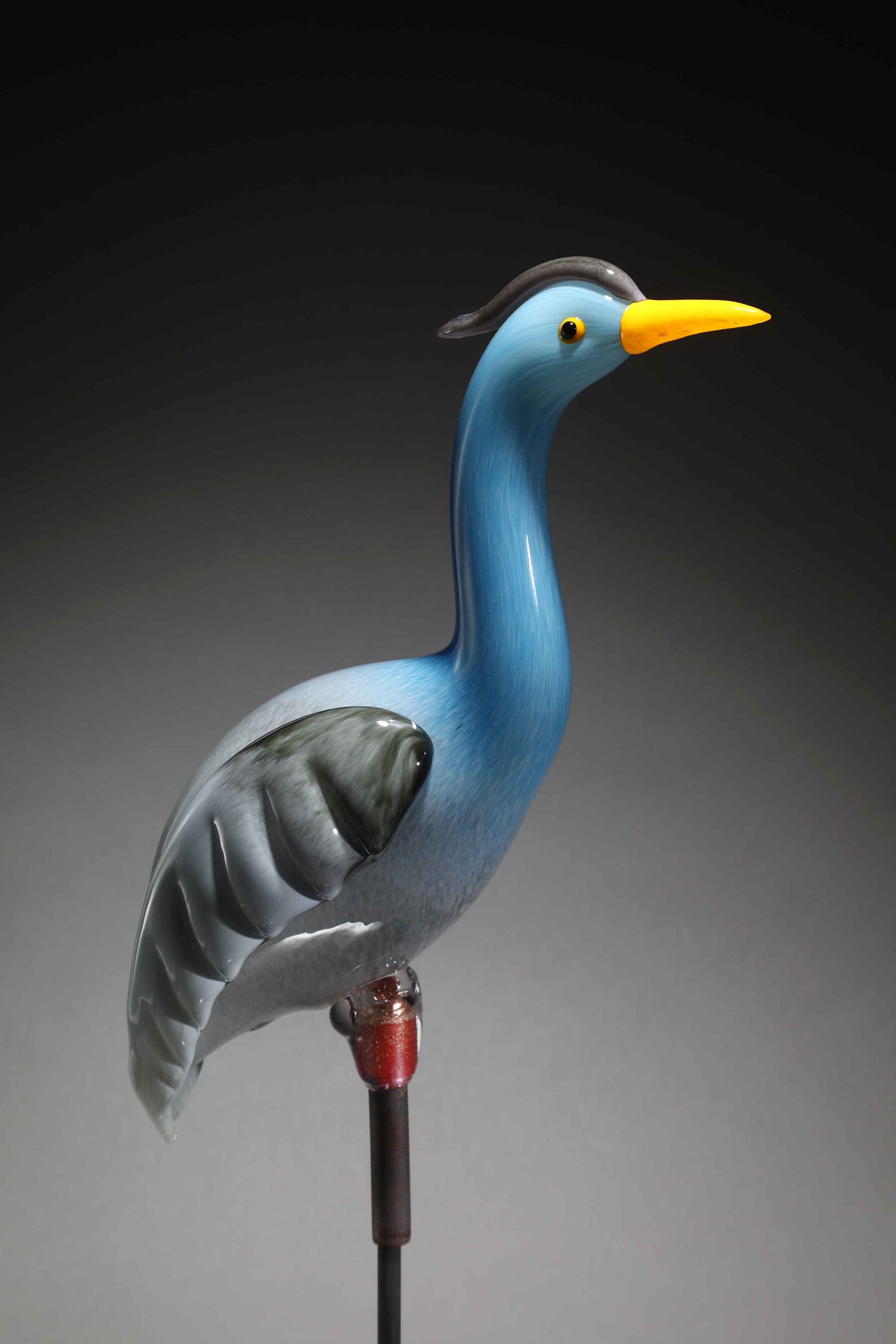 Bird Heron Great Blue