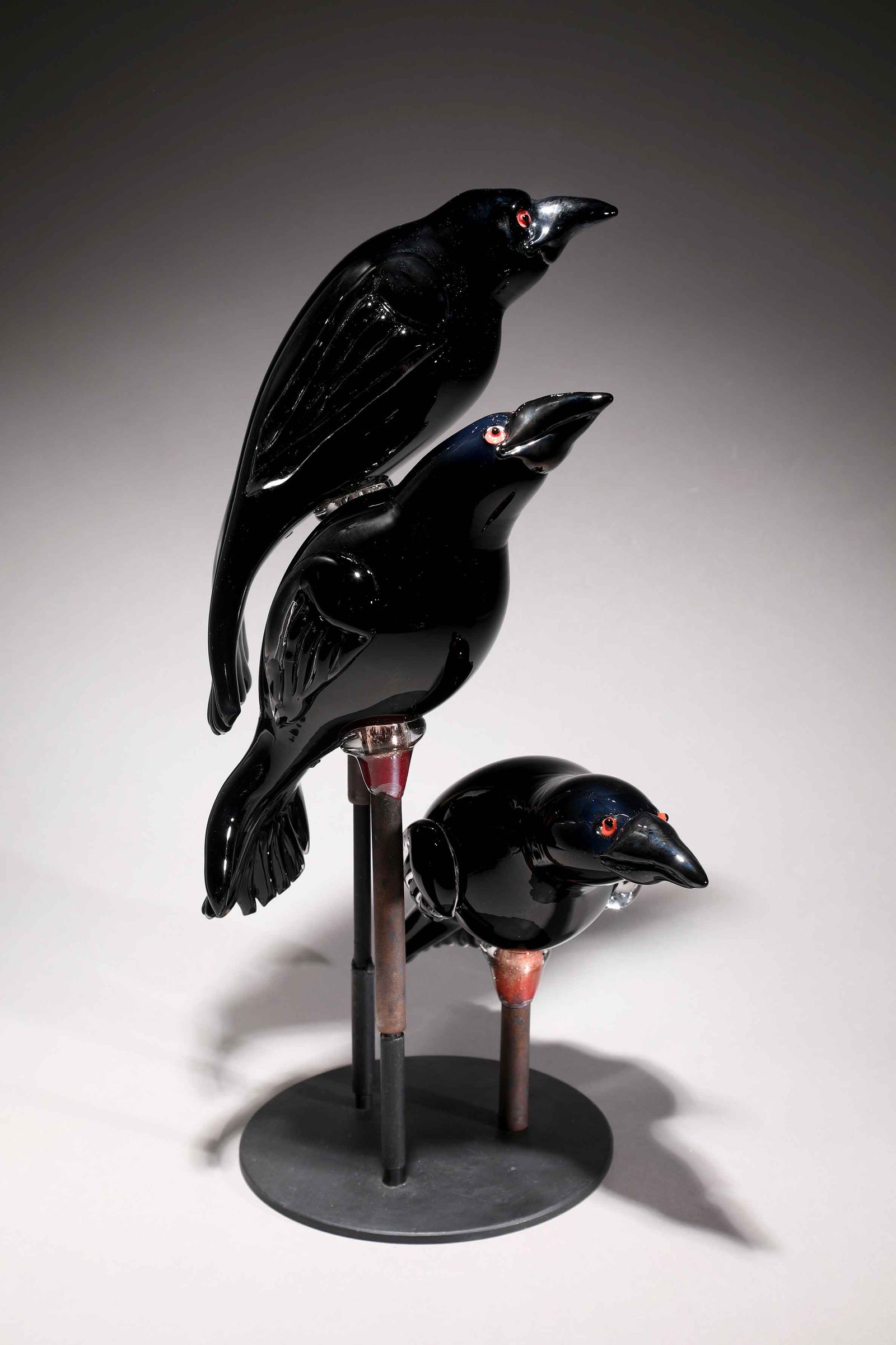 Bird Raven Arrangement