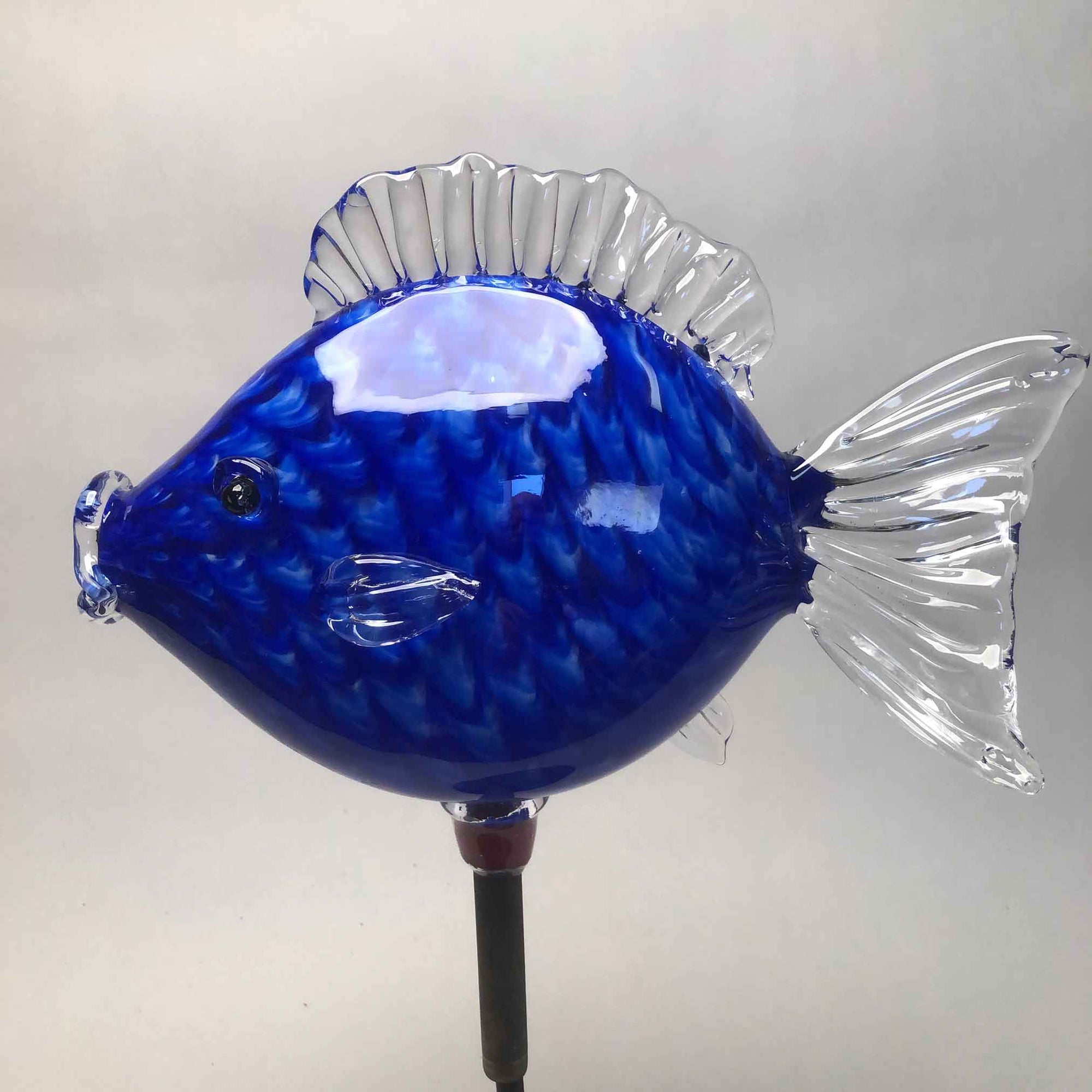 Fish Clownfish Net Pattern Cobalt Blue
