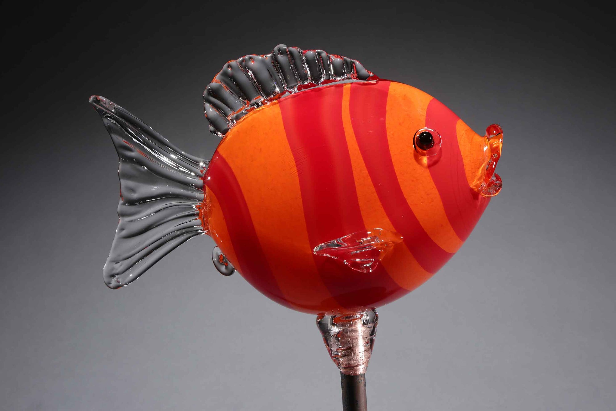 Fish Clownfish Striped Orange Red
