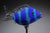 Fish Clownfish Striped Turquoise Blue