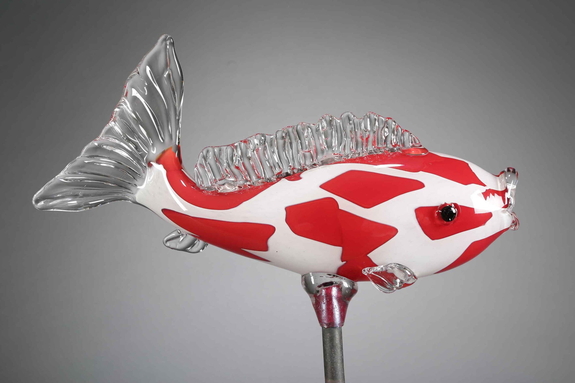 Fish Koi Red White