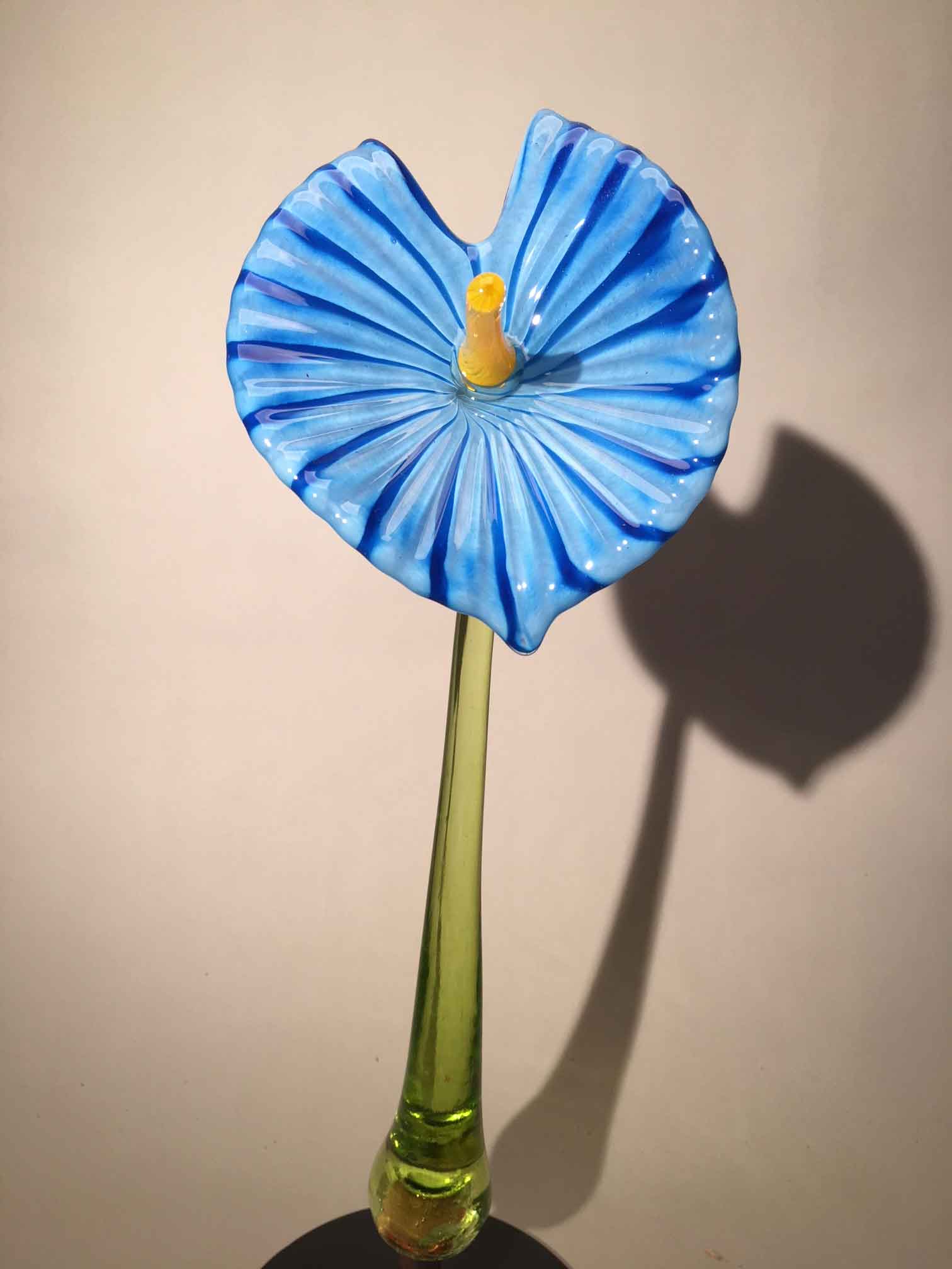 Flower Antherium Light Blue on Stem