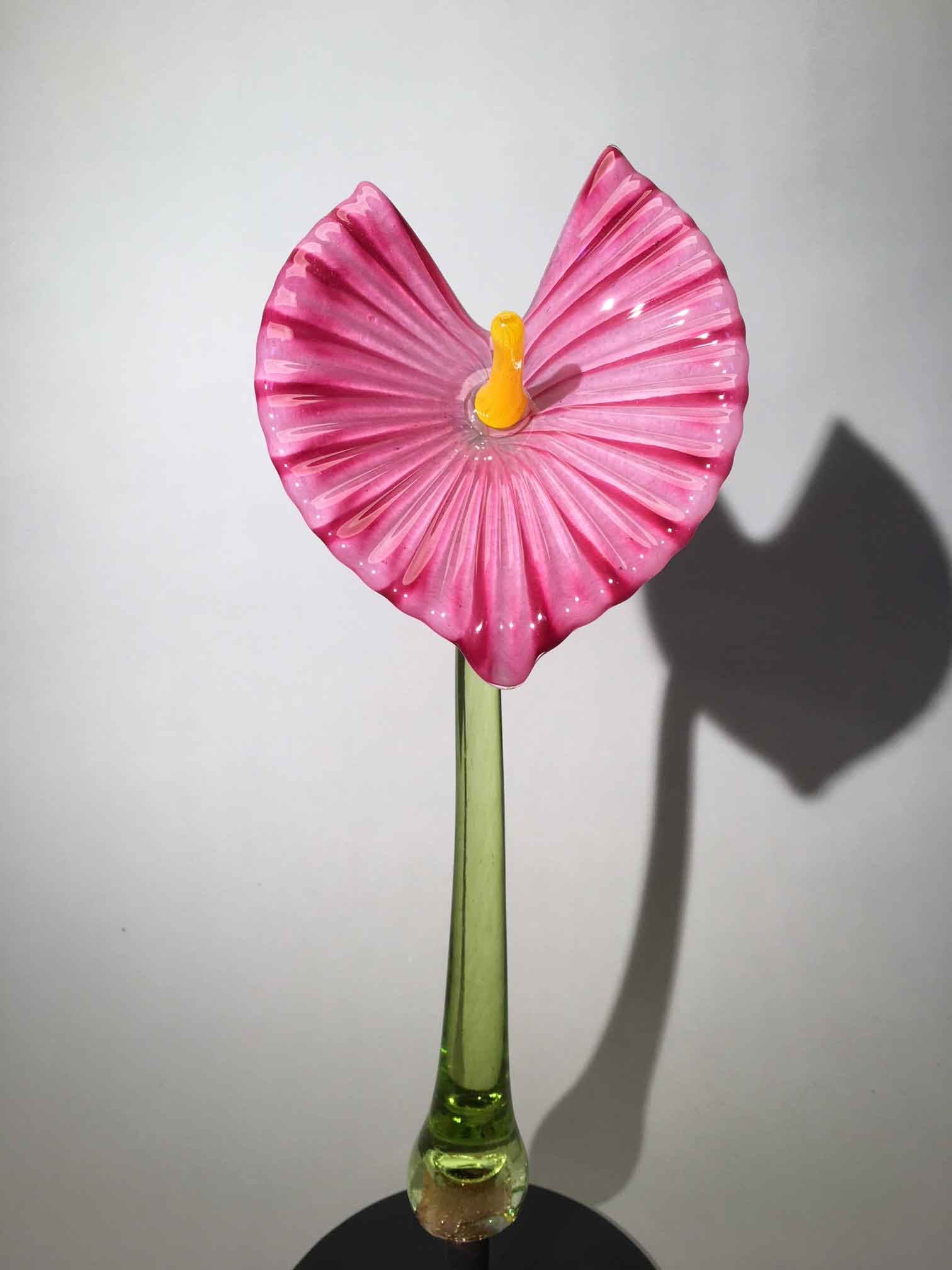 Flower Antherium Light Pink on stem