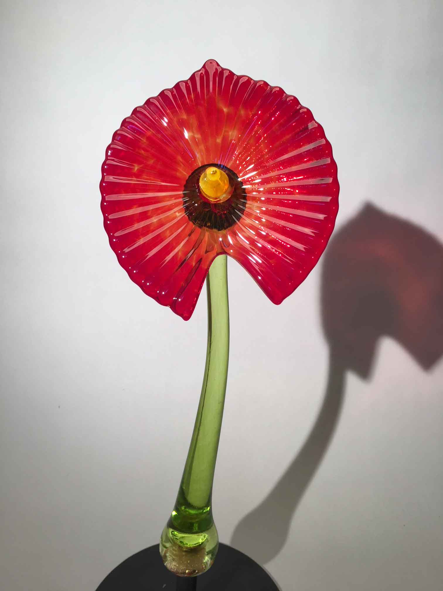 Flower Antherium Red on stem