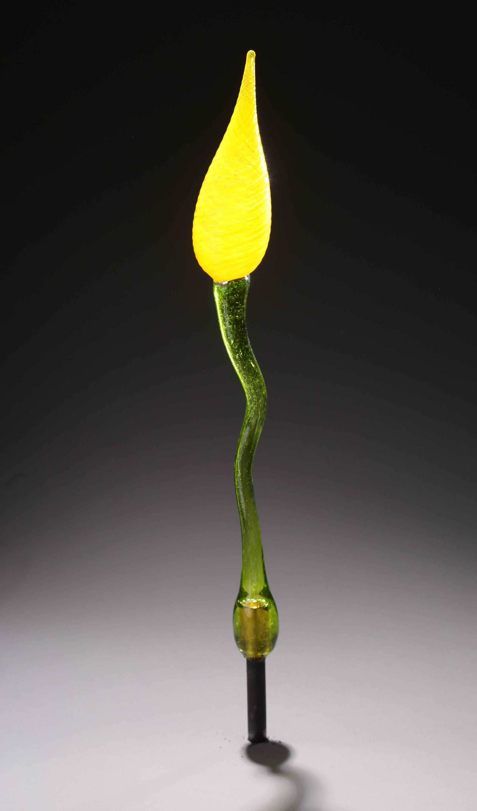Flower Bud Yellow