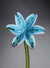 Flower Lily White Teal