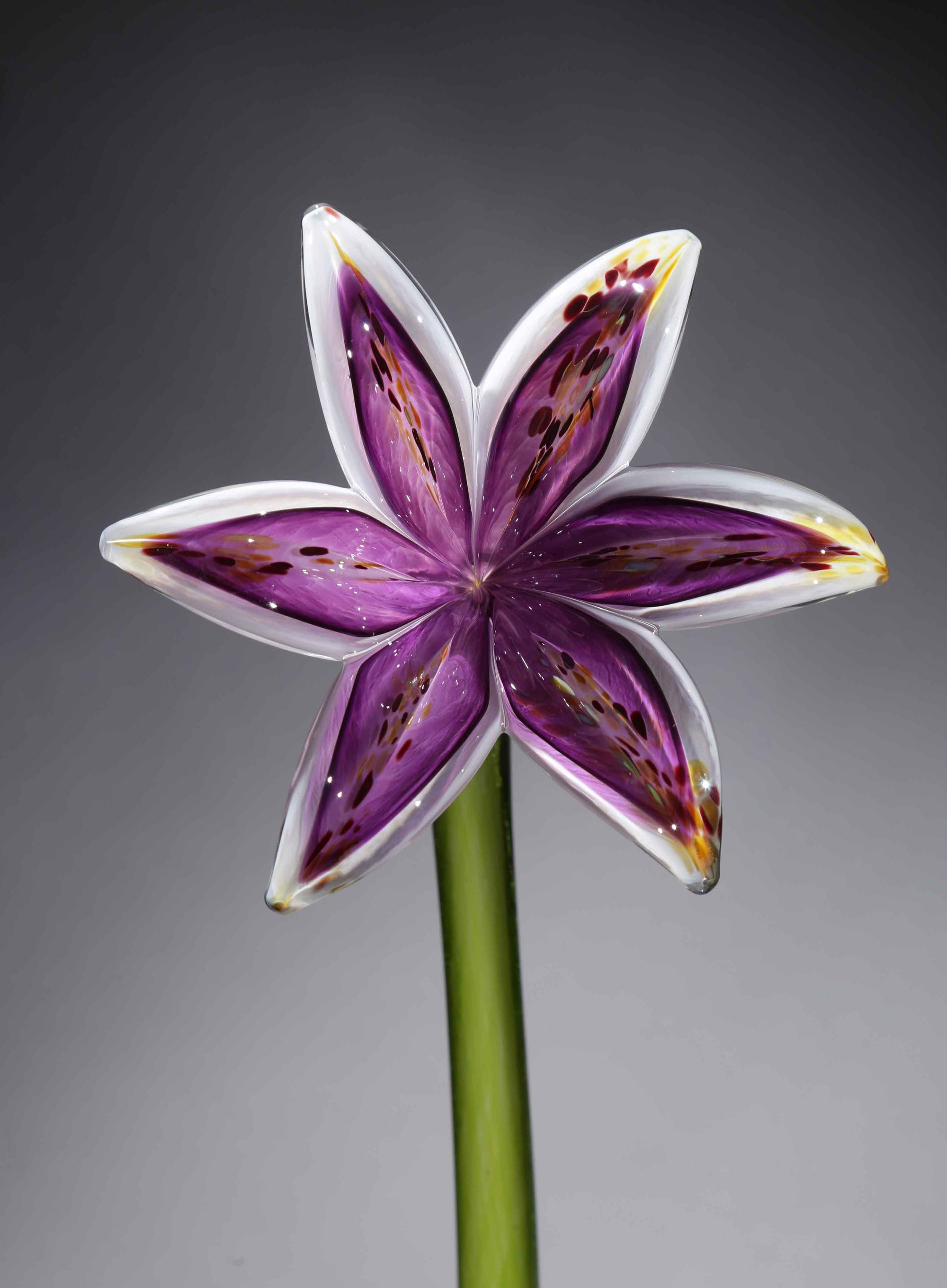 Flower Lily White Amethyst Purple