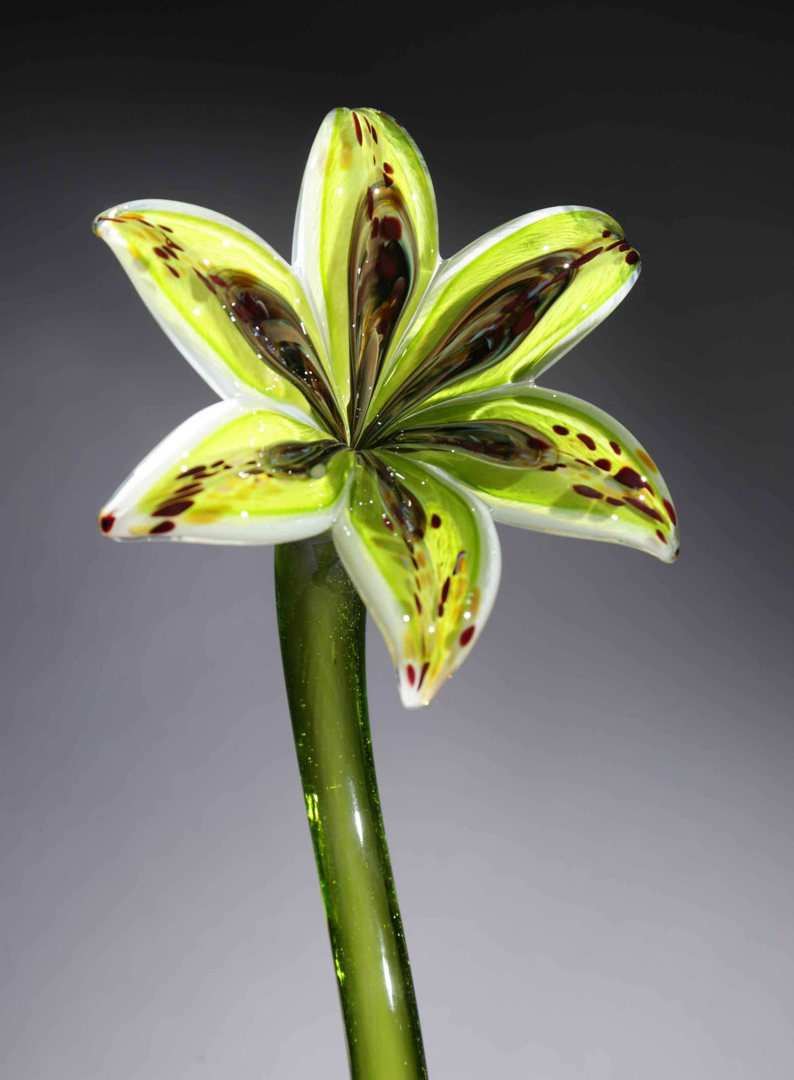 Flower Lily Rainbow Citron Green