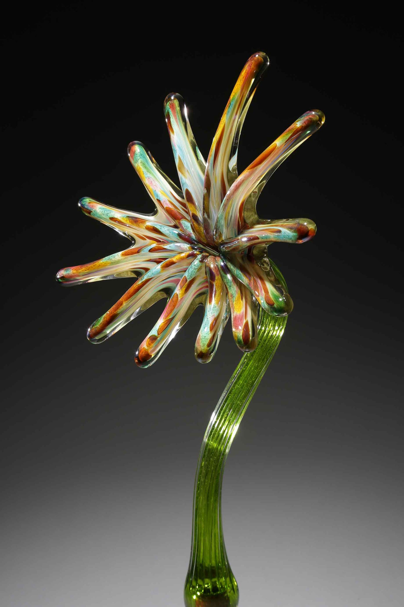 Flower Sunburst Green Rainbow