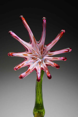 Flower Sunburst Pink Rainbow