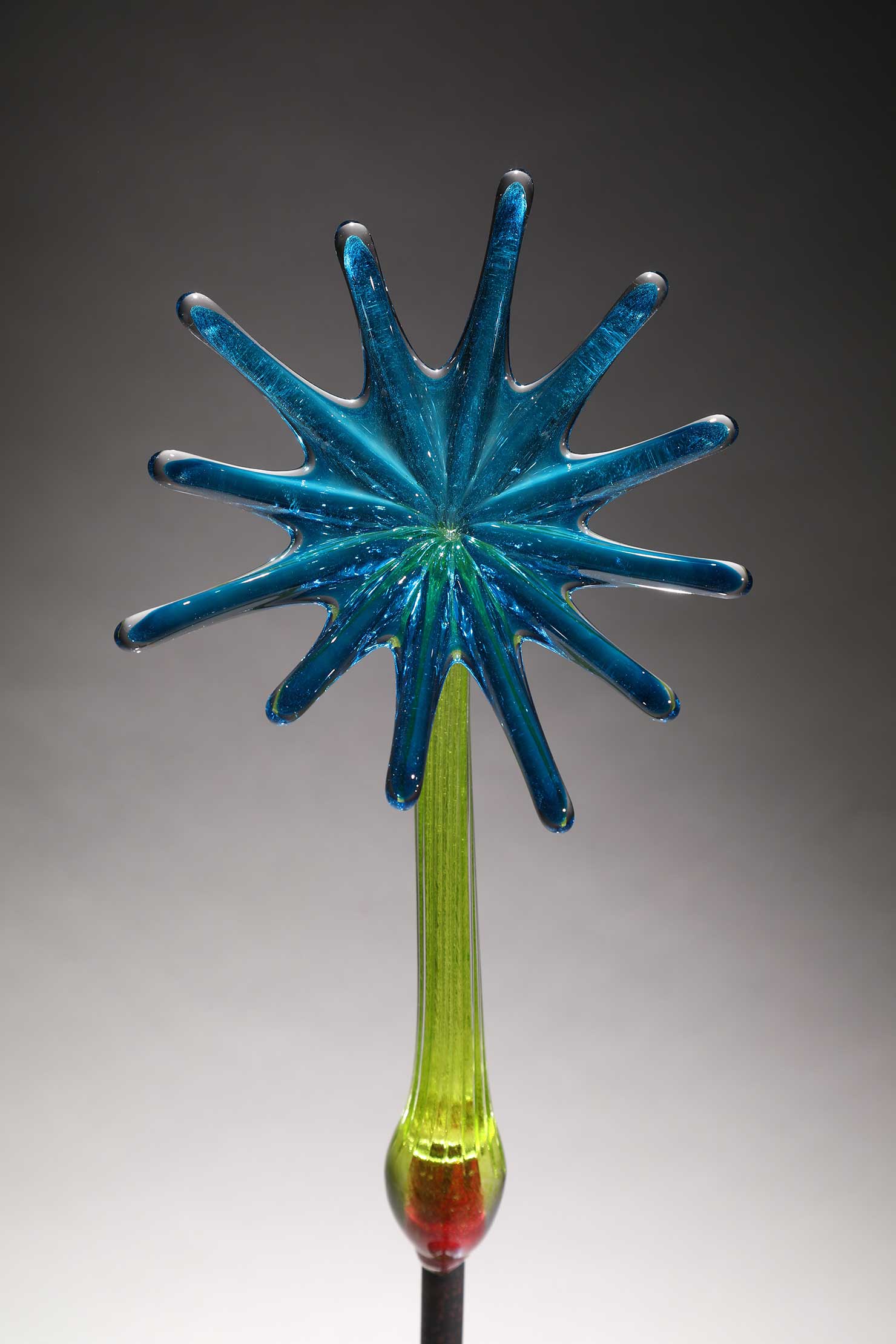 Flower Sunburst Teal