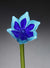 Flower Tulip Turquoise Blue