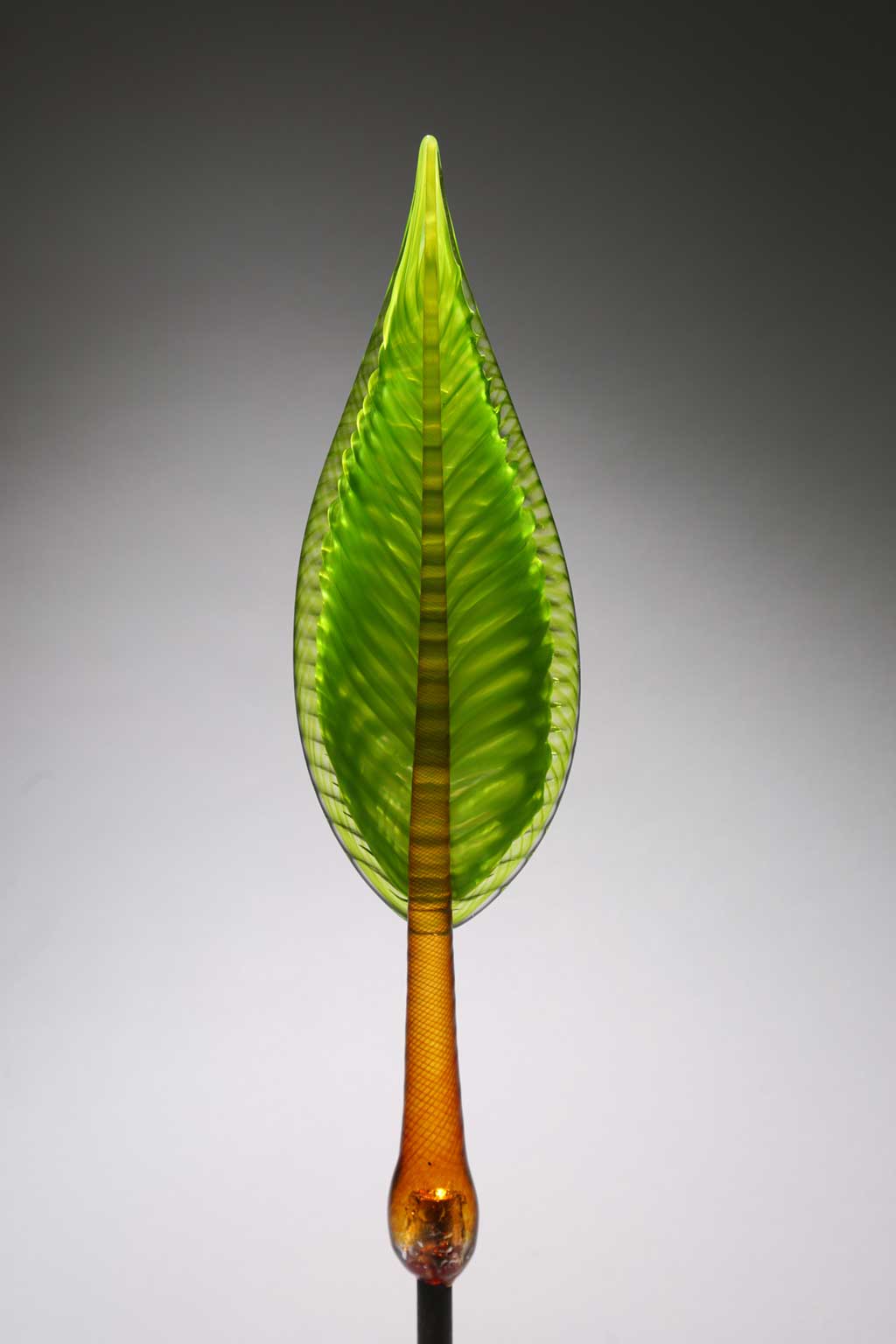 Feather Leaf Citron Green Light Green