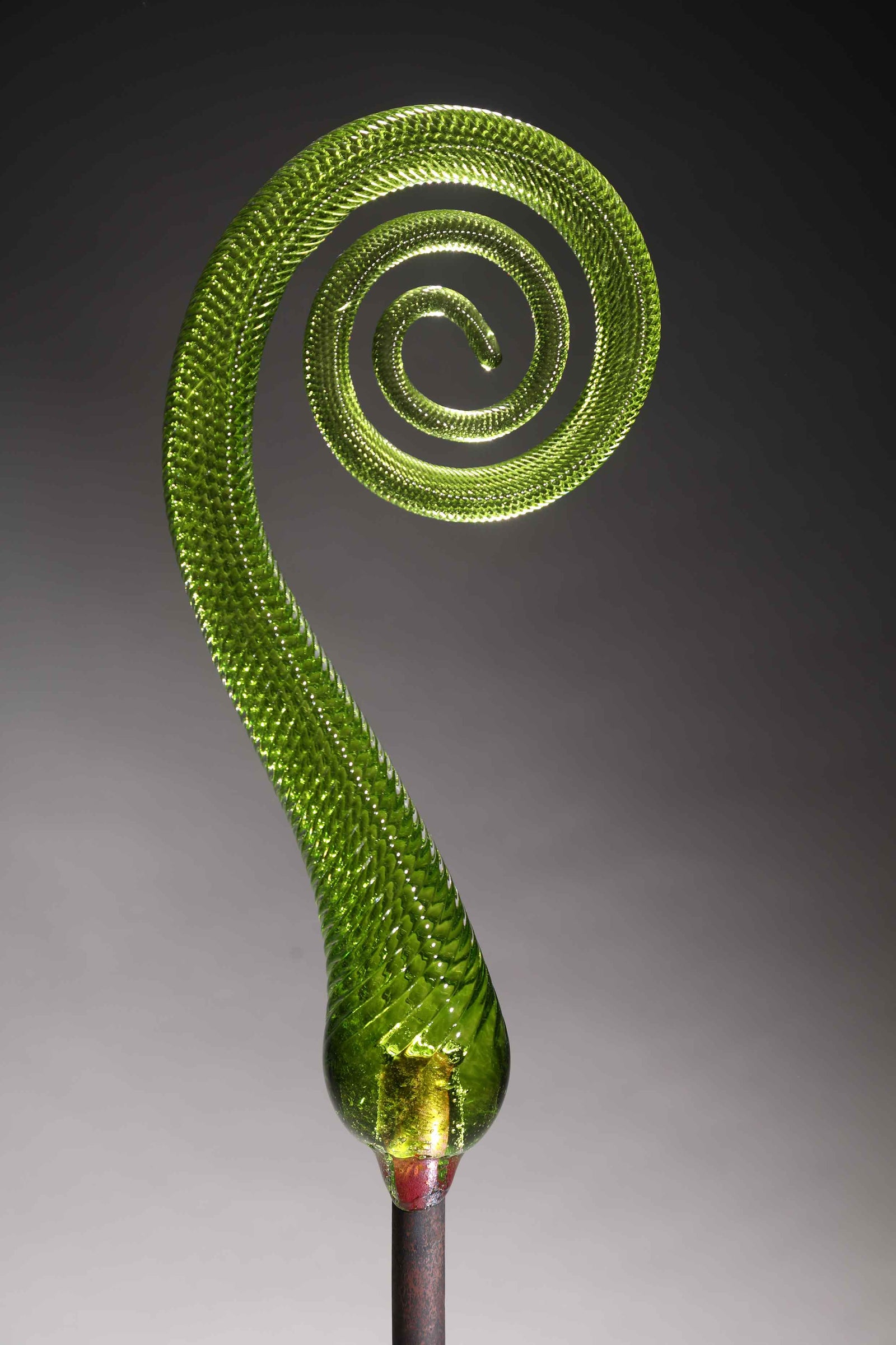 Fern Scroll Citron Green