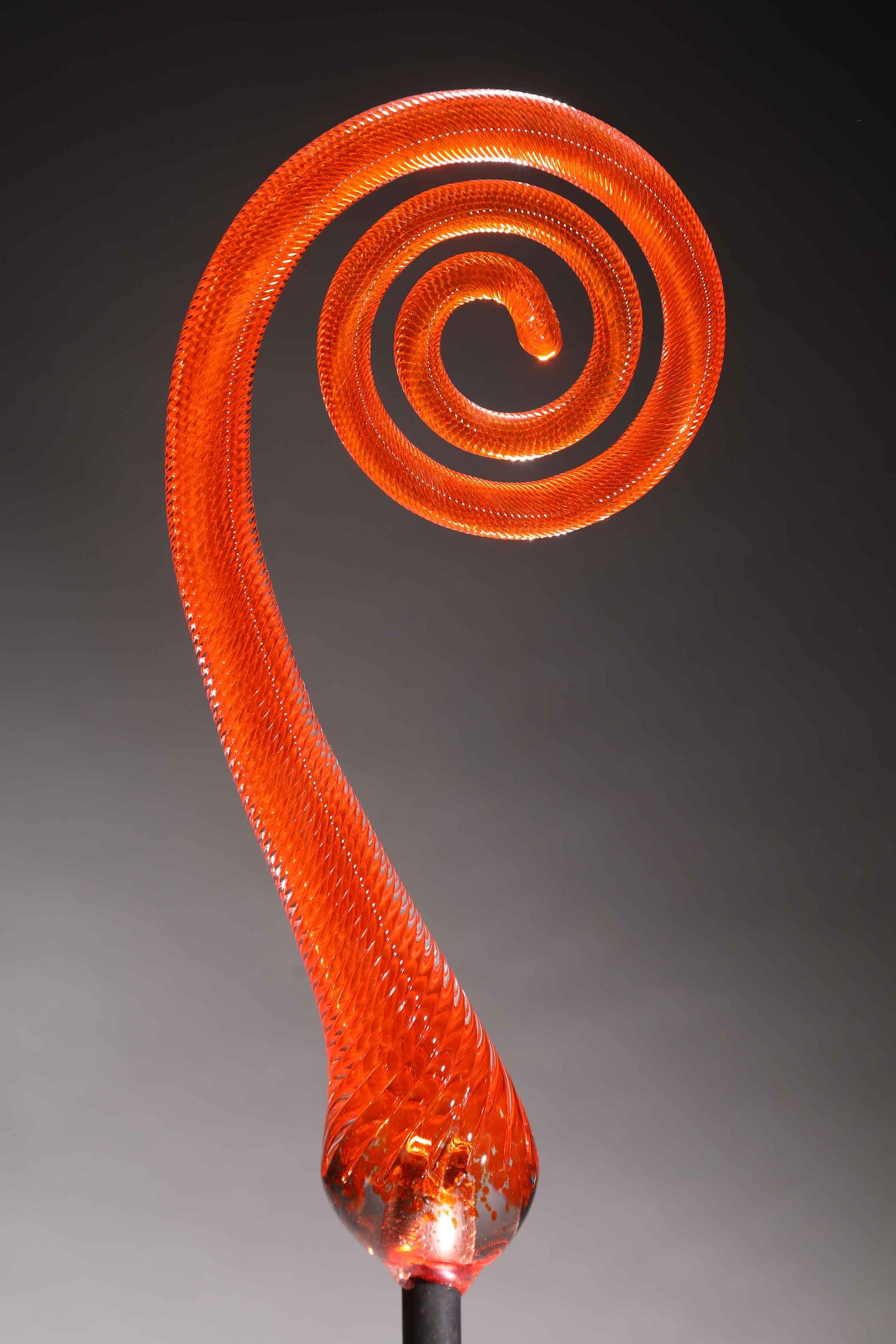 Fern Scroll Orange