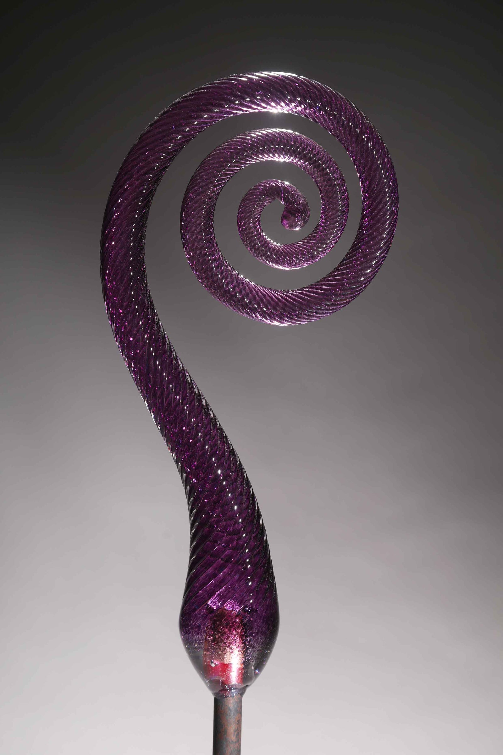 Fern Scroll Purple