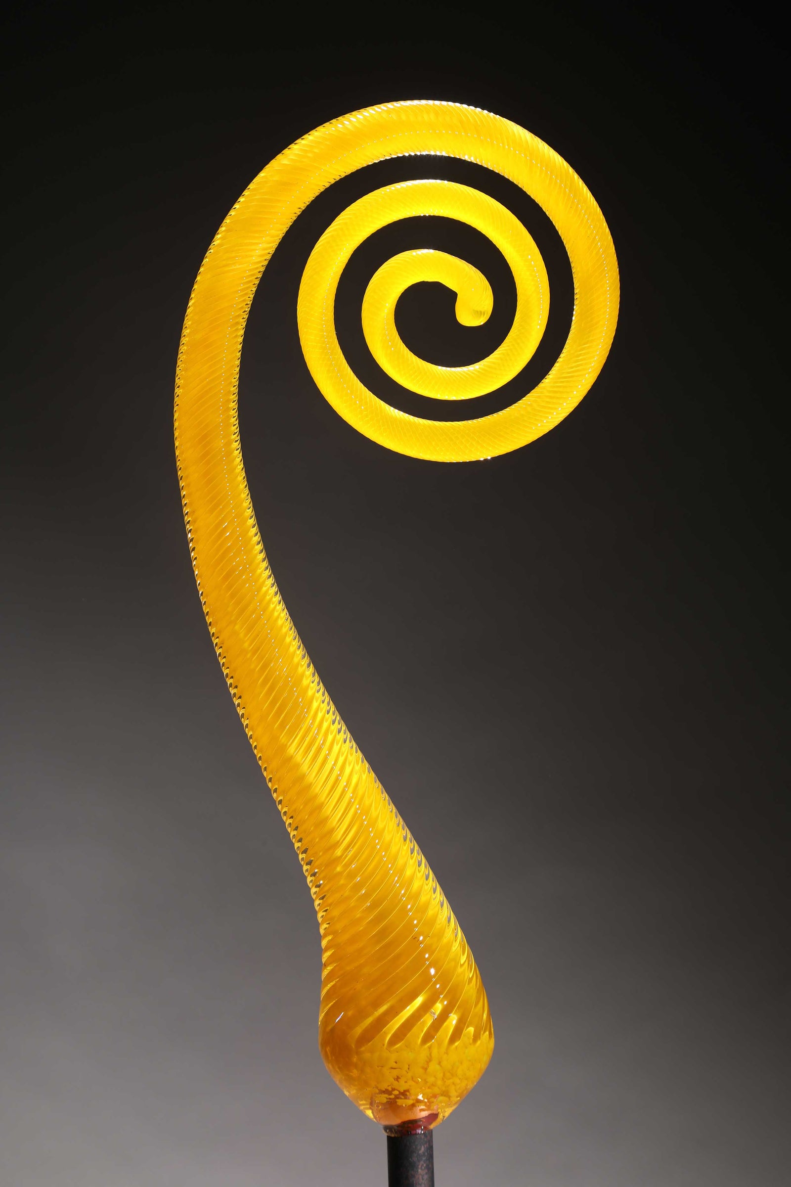 Fern Scroll Yellow