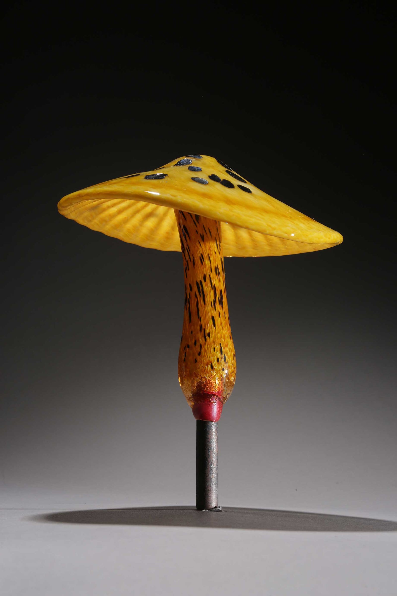 Mushroom Amber w Silver Dots