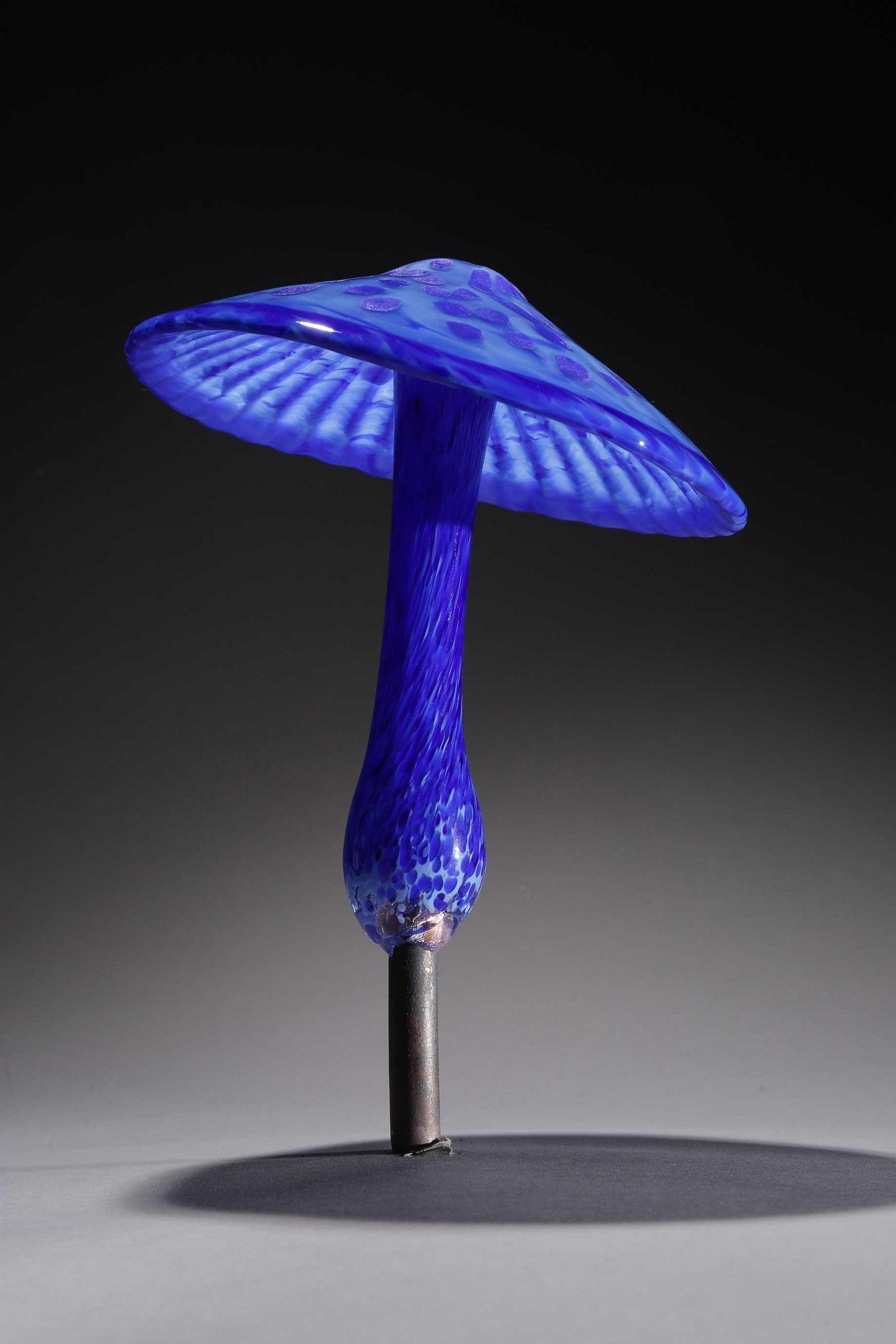 Mushroom Blue w Blue Dots