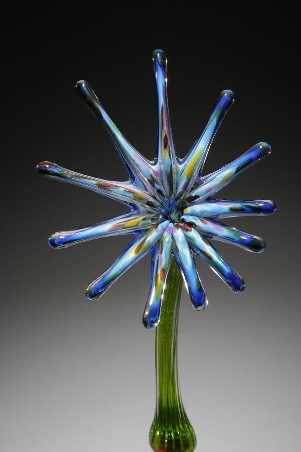 Flower Sunburst Blue Rainbow